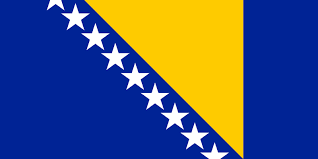 Bosnian Flag